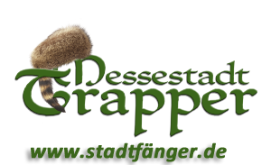 Stadtfänger.de